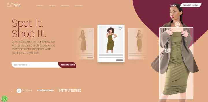 Screenshot of Syte website