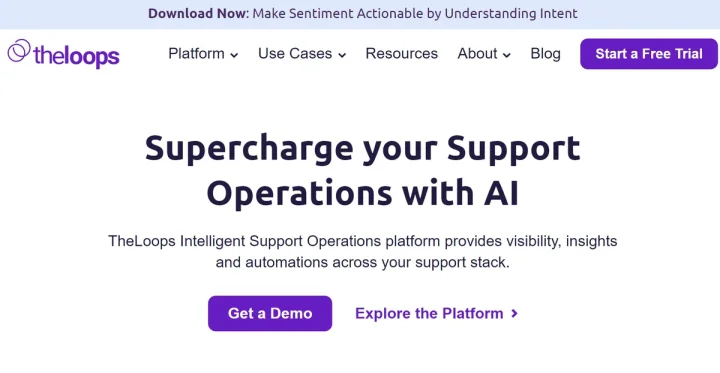 Screenshot of TheLoops website