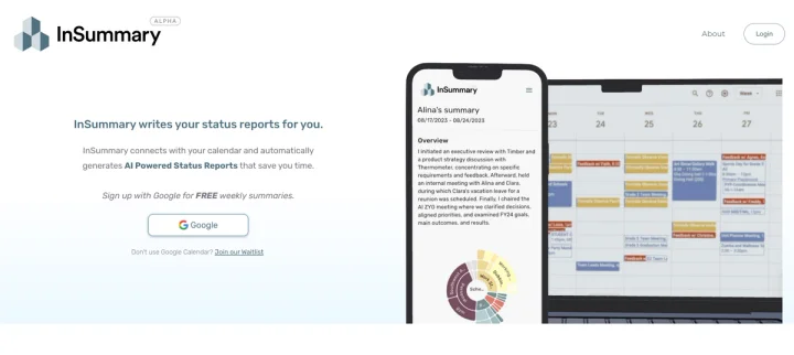 Screenshot of InSummary website