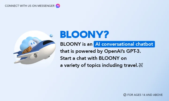 Screenshot of BLOONY website
