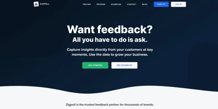 Screenshot of Zigpoll website