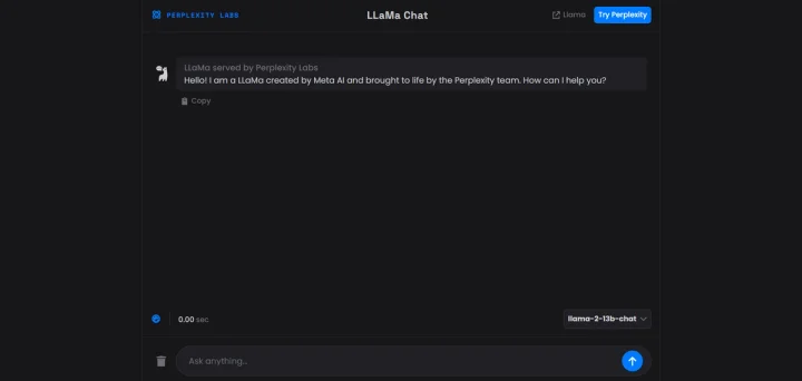Screenshot of LLaMa Chat website