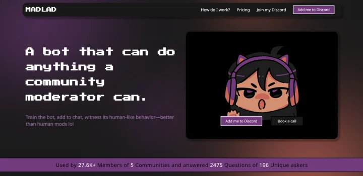 Screenshot of Madlad website