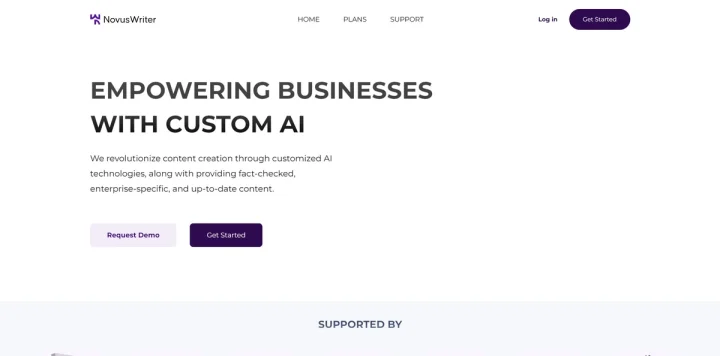 Screenshot of Novus Writer website