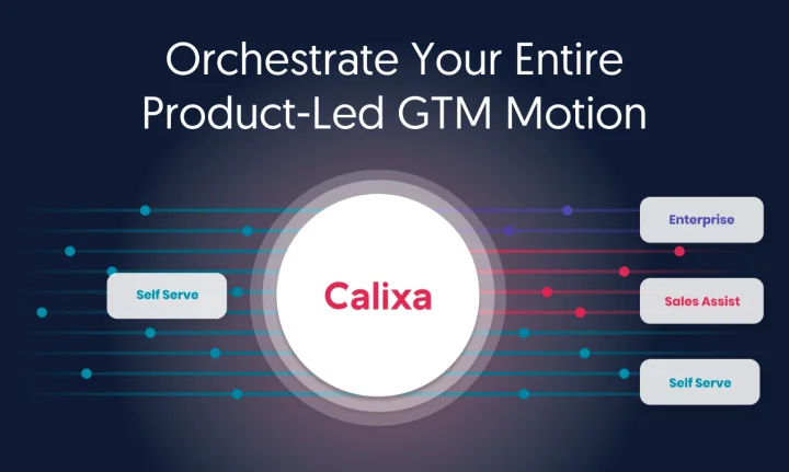 Screenshot of Calixa website