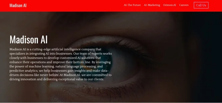 Screenshot of Madison AI website