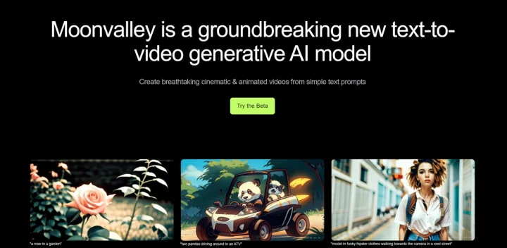 Screenshot of Moonvalley website