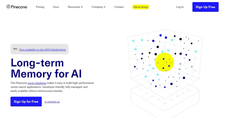 Screenshot of Pinecone website