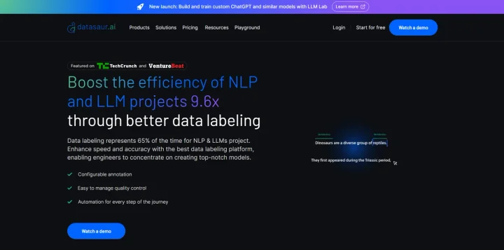 Screenshot of Datasaur website