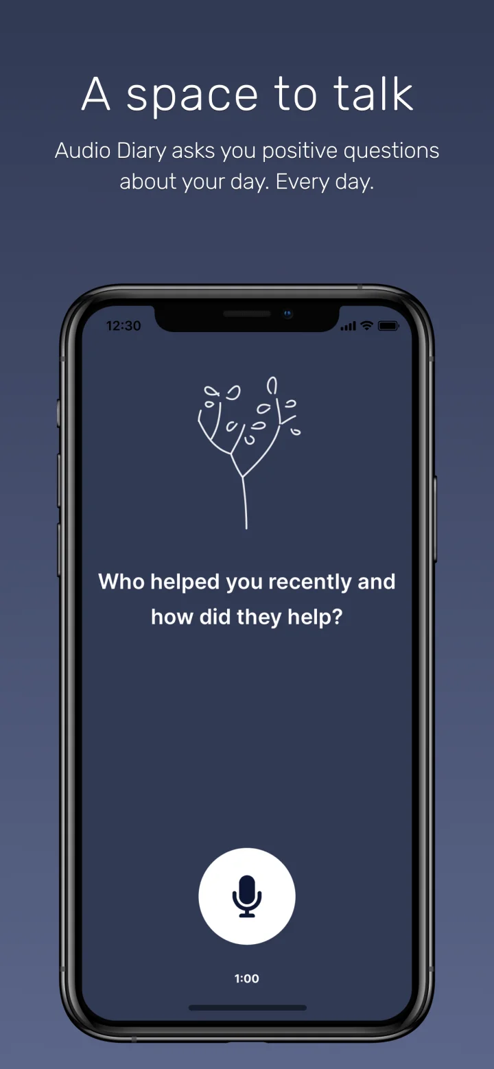 Screenshot of Audio Diary website