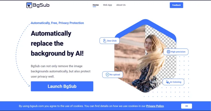 Screenshot of BgSub website