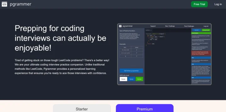Screenshot of Pgrammer website