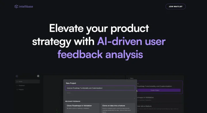 Screenshot of Intellibase website