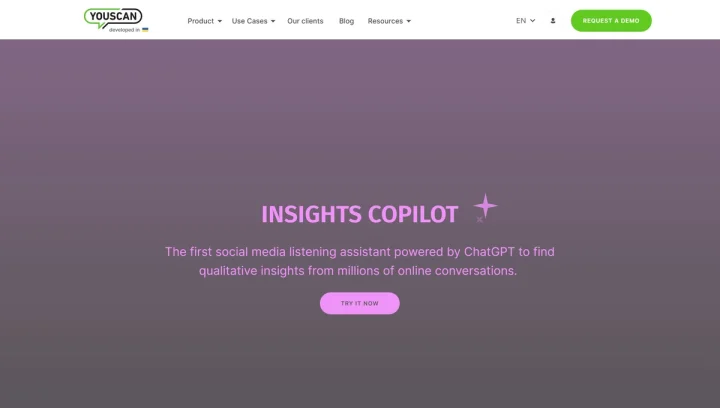 Screenshot of Insights Copilot website