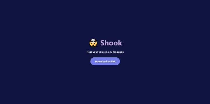 Screenshot of Shook website