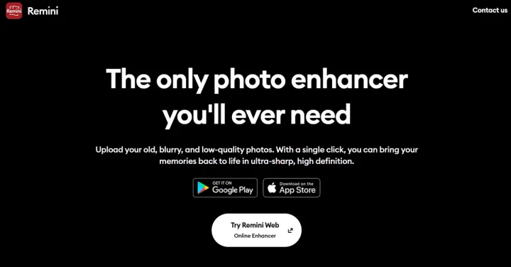 Screenshot of Remini website