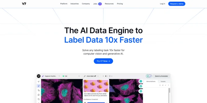 Screenshot of V7 website