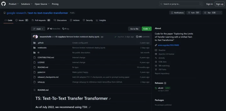 Screenshot of Google T5 website