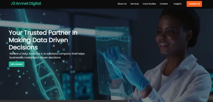 Screenshot of Amnet Digital website