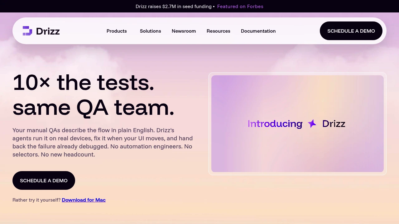 Screenshot of Drizz website
