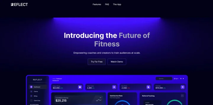 Screenshot of Reflect website