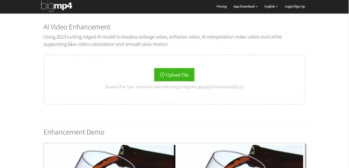 Screenshot of Bigmp4 website