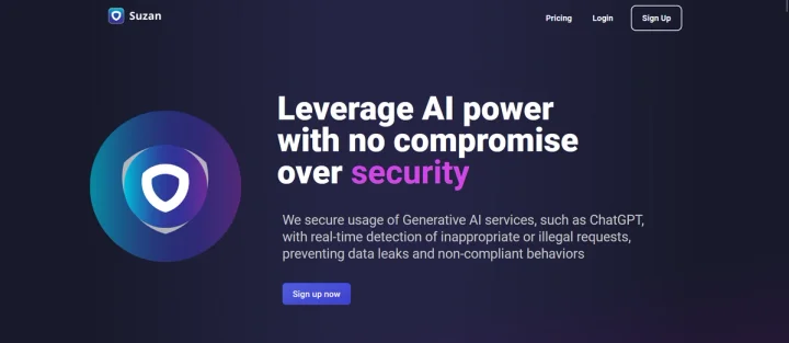 Screenshot of Suzan website