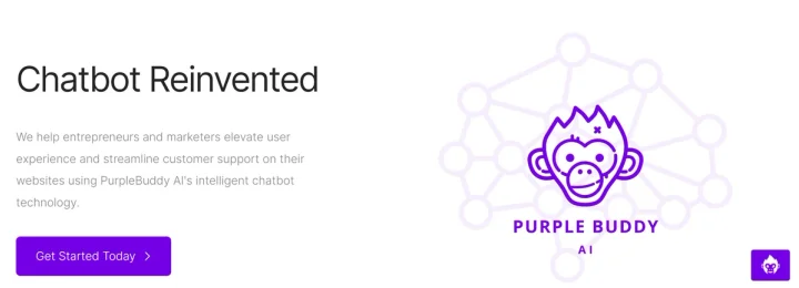 Screenshot of PurpleBuddy-AI website