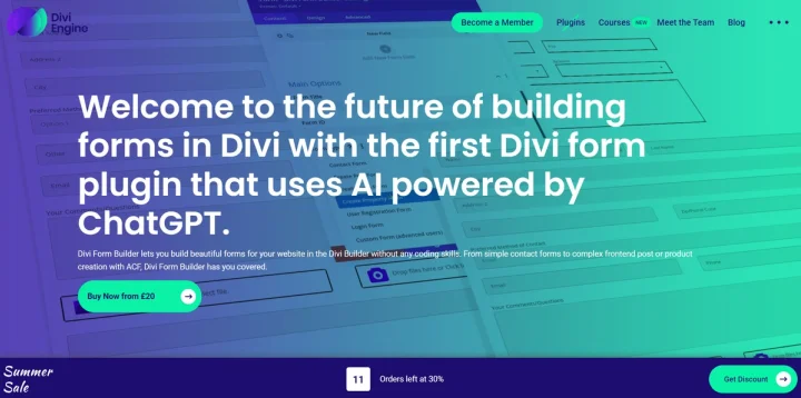 Screenshot of Divi Form Builder website