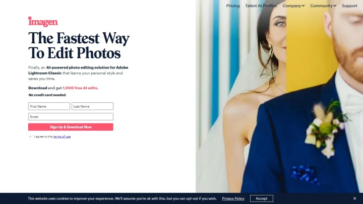 Screenshot of Imagen website