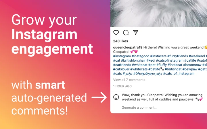 Screenshot of Comment Generator website