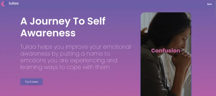 Screenshot of Tuliaa website