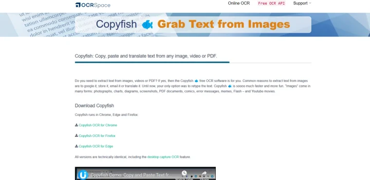 Screenshot of CopyFish website