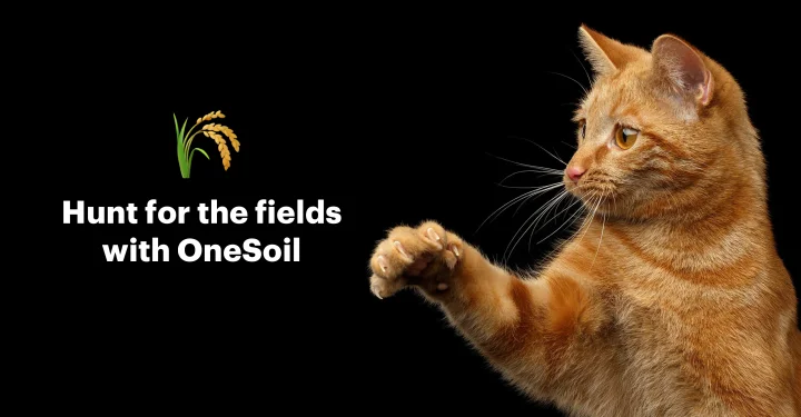Screenshot of OneSoil website
