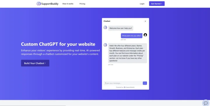 Screenshot of SupportBuddy website