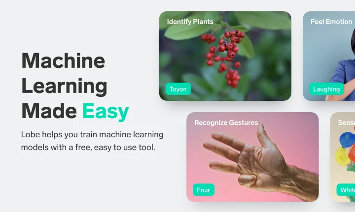 Screenshot of Lobe website