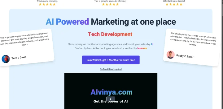 Screenshot of Aivinya website