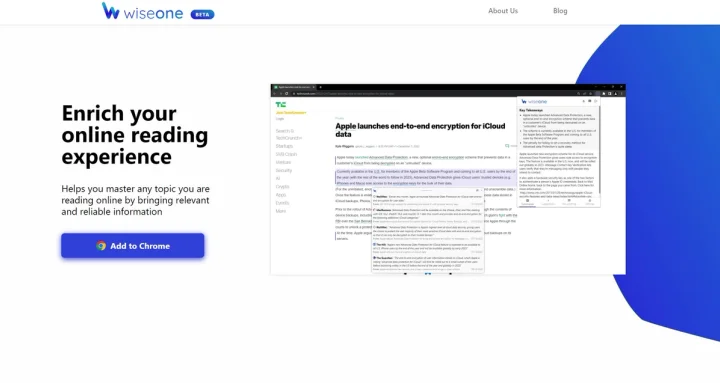 Screenshot of Wiseone website